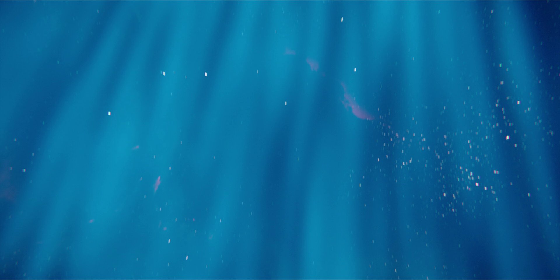 extant_StarTrekDiscovery_1x02-BattleAtTheBinaryStars_2090.jpg
