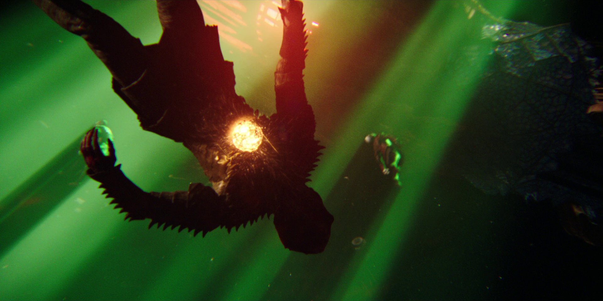 extant_StarTrekDiscovery_1x02-BattleAtTheBinaryStars_3417.jpg