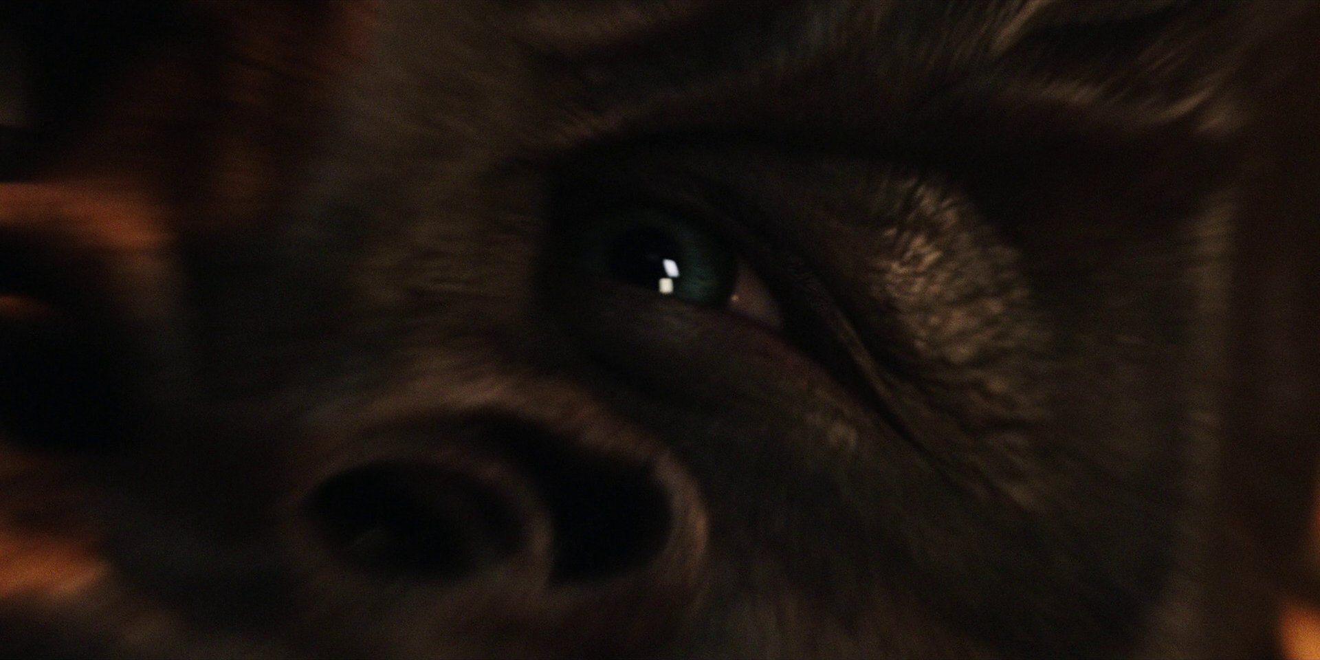 extant_StarTrekDiscovery_1x02-BattleAtTheBinaryStars_3905.jpg