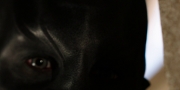 Filename=extant_StarTrekDiscovery_1x02-BattleAtTheBinaryStars_0746.jpg
Filesize=90KiB
Dimensions=1920x960
Date added=Dec 31, 2018 extant_StarTrekDiscovery_1x02-BattleAtTheBinaryStars_0746.jpg