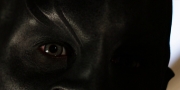 extant_StarTrekDiscovery_1x02-BattleAtTheBinaryStars_0749.jpg