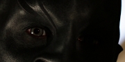extant_StarTrekDiscovery_1x02-BattleAtTheBinaryStars_0750.jpg