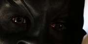 extant_StarTrekDiscovery_1x02-BattleAtTheBinaryStars_0756.jpg