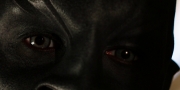 extant_StarTrekDiscovery_1x02-BattleAtTheBinaryStars_0757.jpg