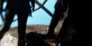 Filename=extant_StarTrekDiscovery_1x02-BattleAtTheBinaryStars_0785.jpg
Filesize=111KiB
Dimensions=1920x960
Date added=Dec 31, 2018 extant_StarTrekDiscovery_1x02-BattleAtTheBinaryStars_0785.jpg