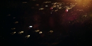 Filename=extant_StarTrekDiscovery_1x02-BattleAtTheBinaryStars_1171.jpg
Filesize=155KiB
Dimensions=1920x960
Date added=Dec 31, 2018 extant_StarTrekDiscovery_1x02-BattleAtTheBinaryStars_1171.jpg