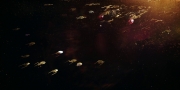 extant_StarTrekDiscovery_1x02-BattleAtTheBinaryStars_1172.jpg