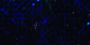Filename=extant_StarTrekDiscovery_1x02-BattleAtTheBinaryStars_1428.jpg
Filesize=94KiB
Dimensions=1920x960
Date added=Dec 31, 2018 extant_StarTrekDiscovery_1x02-BattleAtTheBinaryStars_1428.jpg