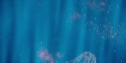 Filename=extant_StarTrekDiscovery_1x02-BattleAtTheBinaryStars_2087.jpg
Filesize=113KiB
Dimensions=1920x960
Date added=Dec 31, 2018 extant_StarTrekDiscovery_1x02-BattleAtTheBinaryStars_2087.jpg