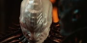 extant_StarTrekDiscovery_1x02-BattleAtTheBinaryStars_2531.jpg