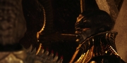 Filename=extant_StarTrekDiscovery_1x02-BattleAtTheBinaryStars_2936.jpg
Filesize=148KiB
Dimensions=1920x960
Date added=Dec 31, 2018 extant_StarTrekDiscovery_1x02-BattleAtTheBinaryStars_2936.jpg