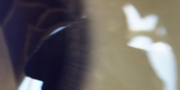 Filename=extant_StarTrekDiscovery_1x02-BattleAtTheBinaryStars_3857.jpg
Filesize=159KiB
Dimensions=1920x960
Date added=Dec 31, 2018 extant_StarTrekDiscovery_1x02-BattleAtTheBinaryStars_3857.jpg
