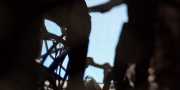 Filename=extant_StarTrekDiscovery_1x02-BattleAtTheBinaryStars_3876.jpg
Filesize=113KiB
Dimensions=1920x960
Date added=Dec 31, 2018 extant_StarTrekDiscovery_1x02-BattleAtTheBinaryStars_3876.jpg