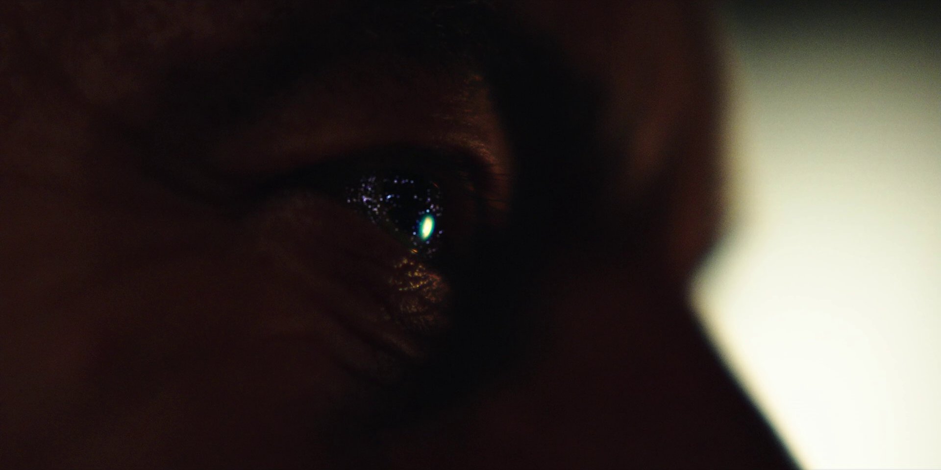 extant_StarTrekDiscovery_1x03-ContextIsForKings_1049.jpg