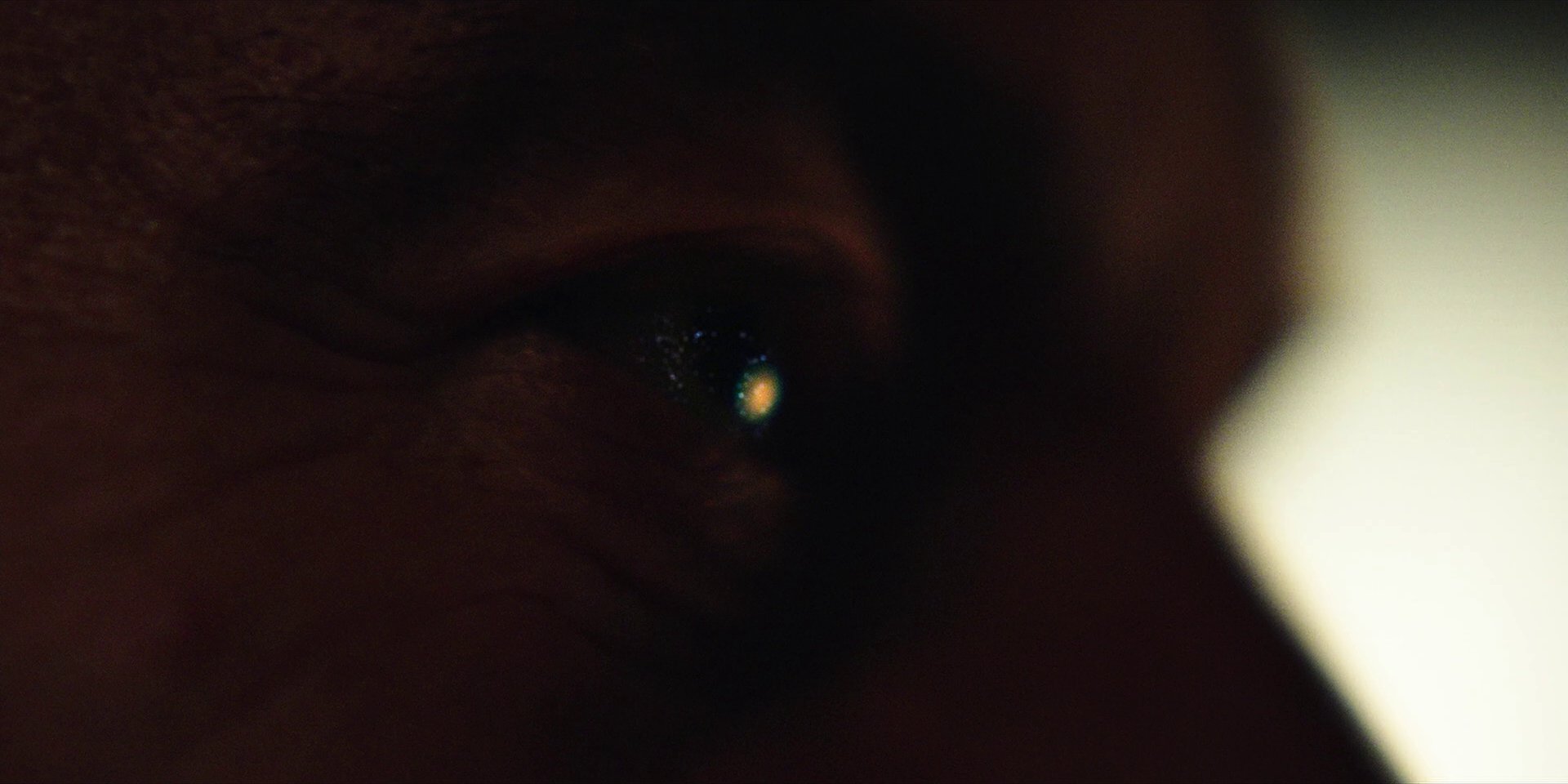 extant_StarTrekDiscovery_1x03-ContextIsForKings_1054.jpg