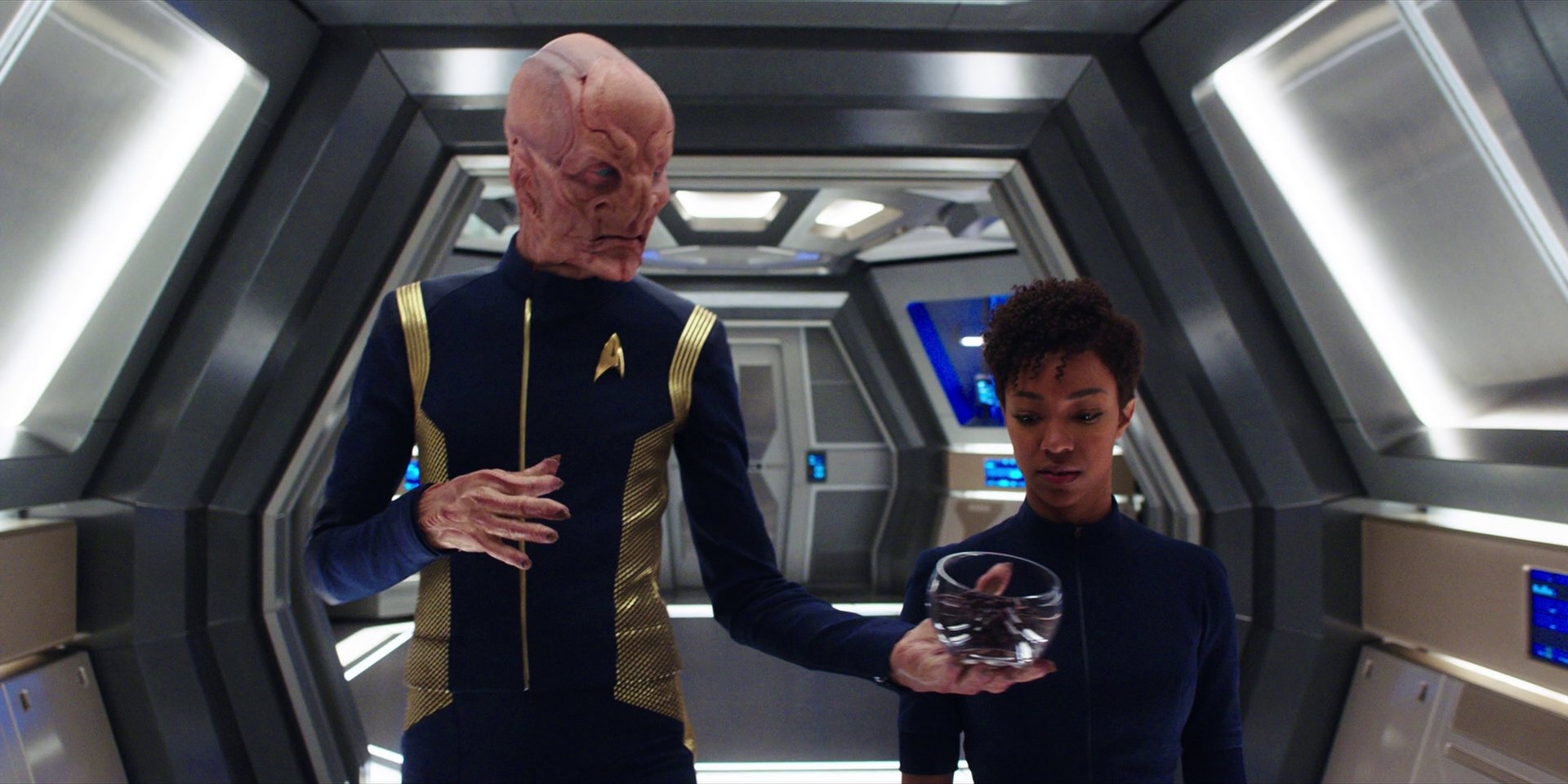 extant_StarTrekDiscovery_1x03-ContextIsForKings_1763.jpg