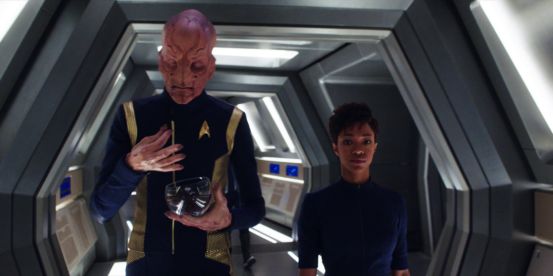 extant_StarTrekDiscovery_1x03-ContextIsForKings_1790.jpg