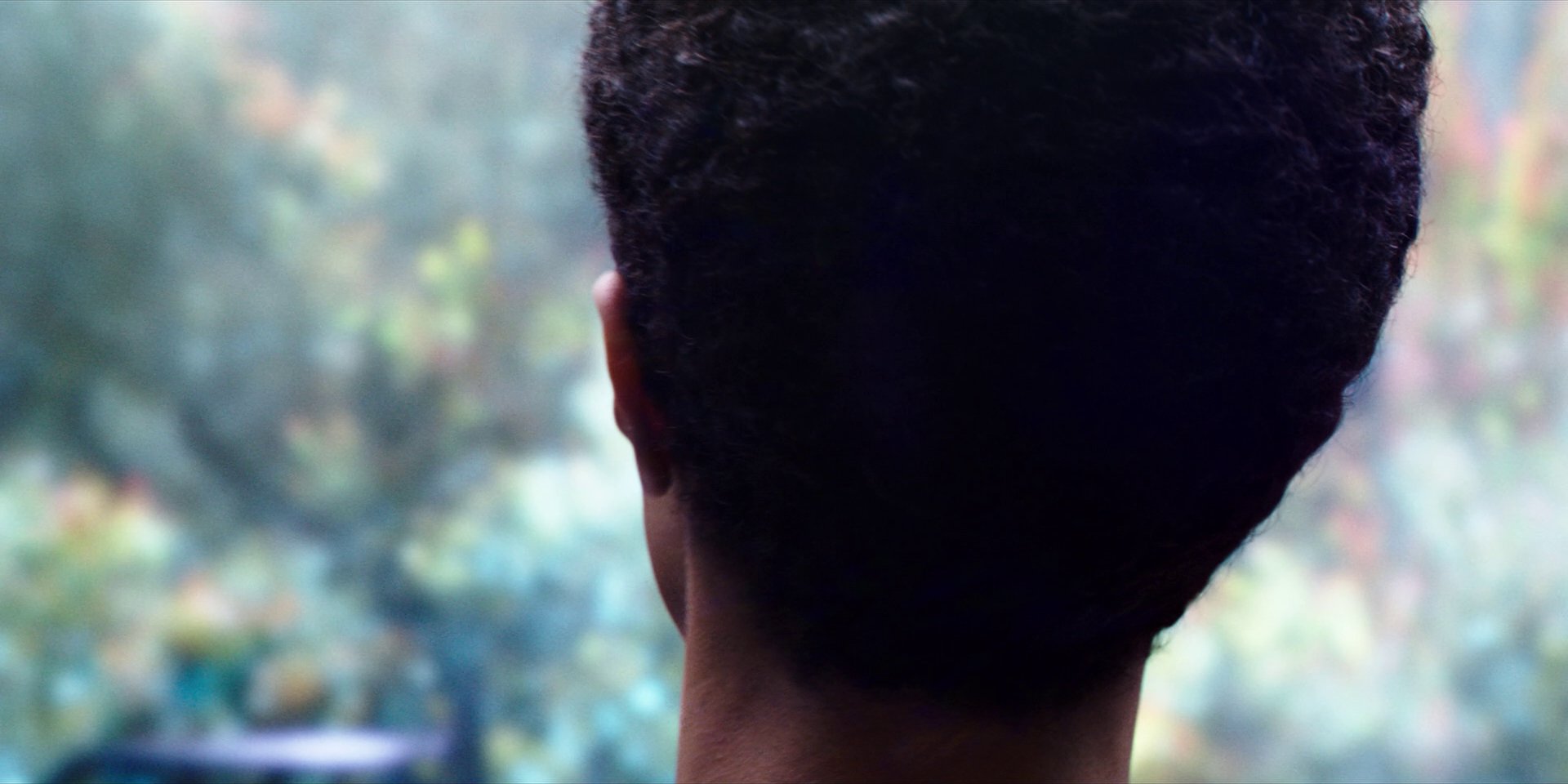 extant_StarTrekDiscovery_1x03-ContextIsForKings_2530.jpg