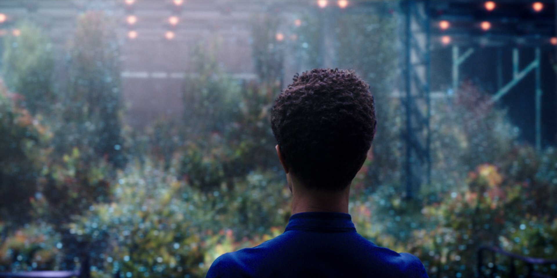 extant_StarTrekDiscovery_1x03-ContextIsForKings_2544.jpg
