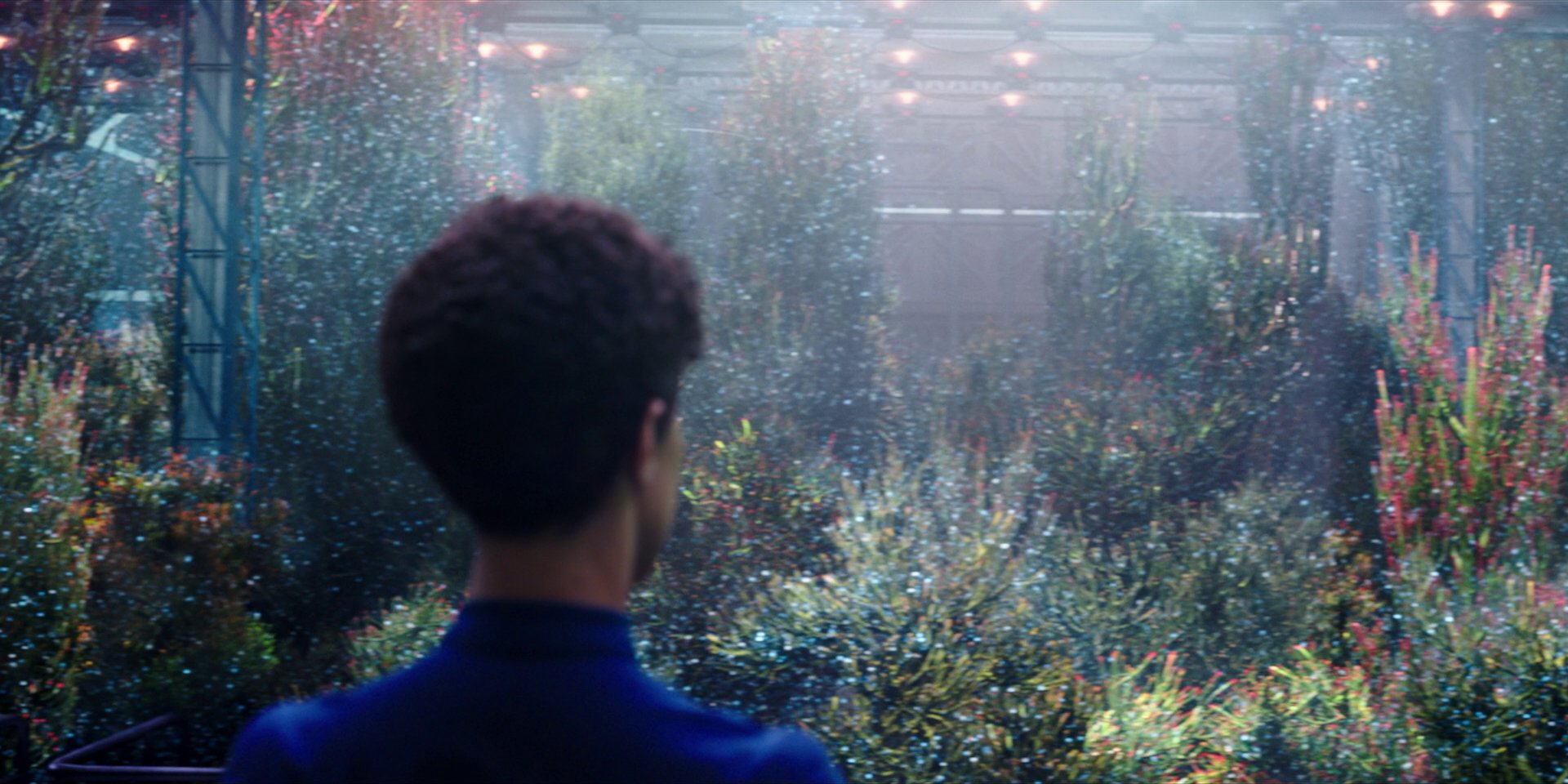 extant_StarTrekDiscovery_1x03-ContextIsForKings_2551.jpg