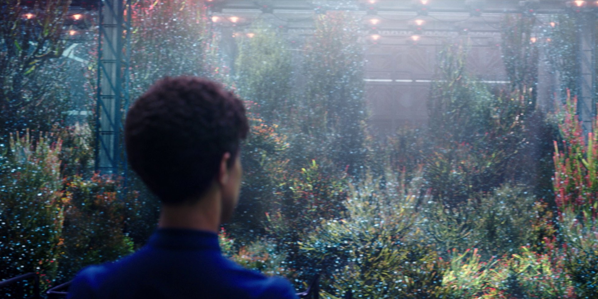 extant_StarTrekDiscovery_1x03-ContextIsForKings_2552.jpg