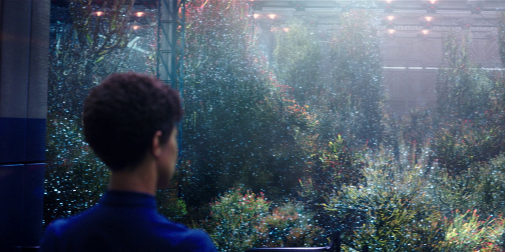 extant_StarTrekDiscovery_1x03-ContextIsForKings_2555.jpg