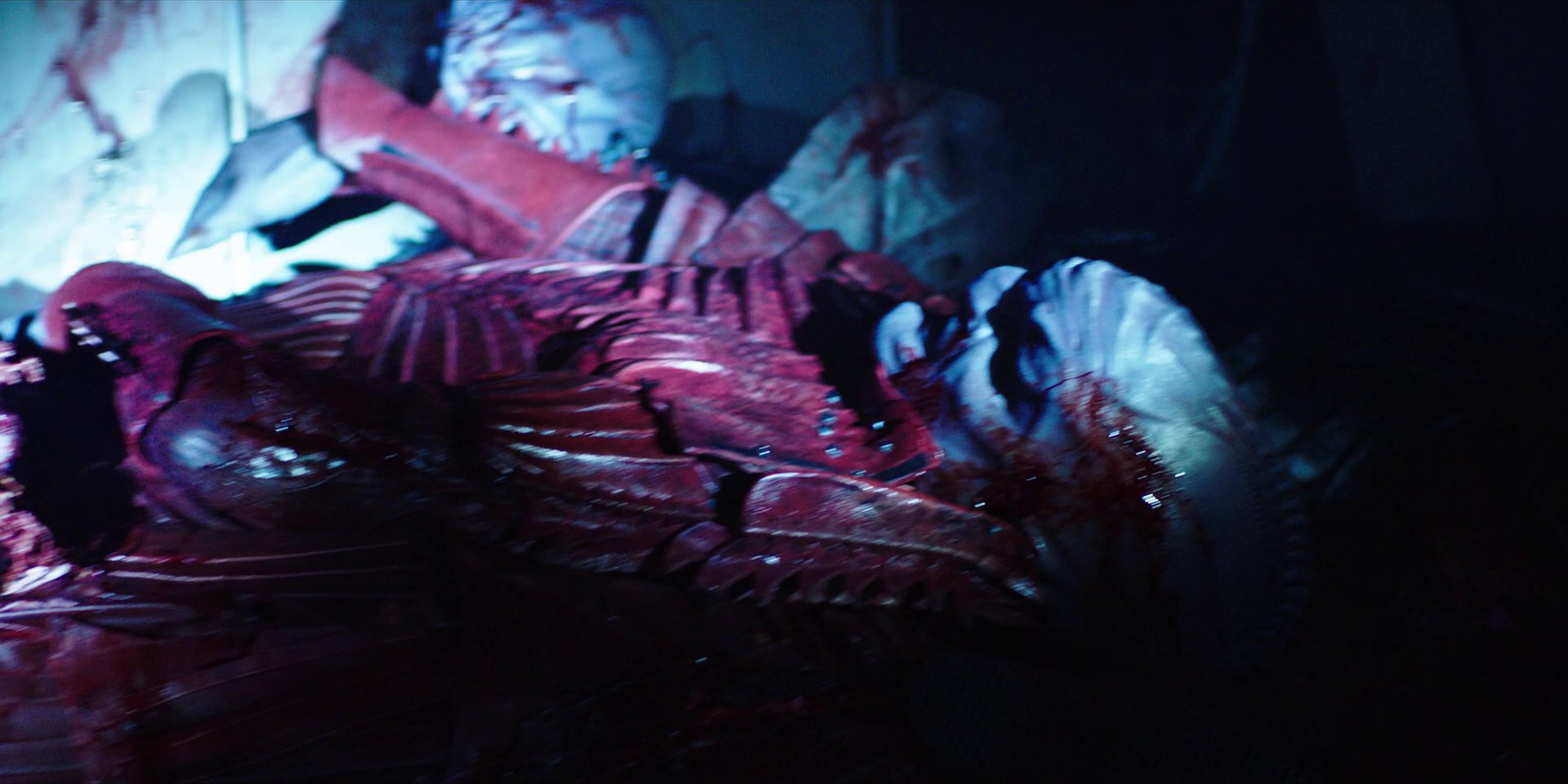 extant_StarTrekDiscovery_1x03-ContextIsForKings_3450.jpg