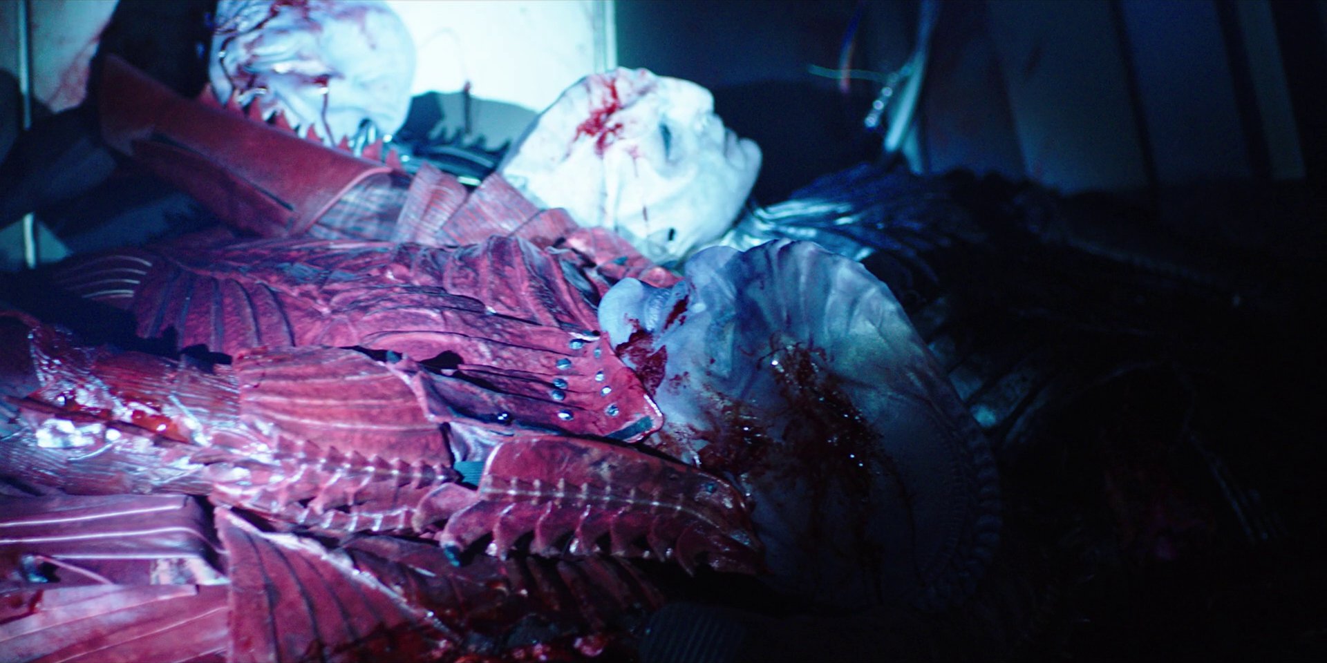 extant_StarTrekDiscovery_1x03-ContextIsForKings_3451.jpg