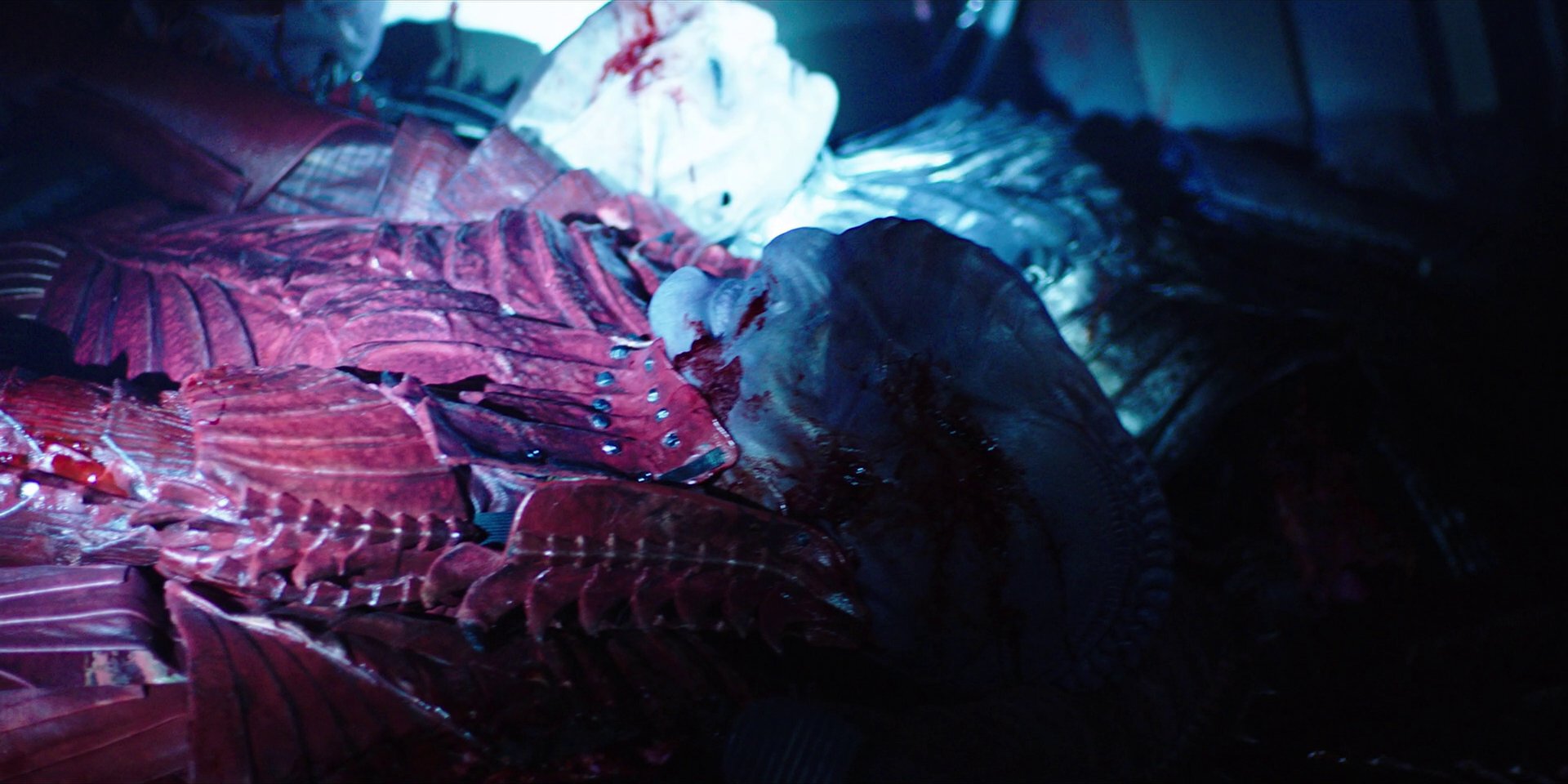 extant_StarTrekDiscovery_1x03-ContextIsForKings_3453.jpg