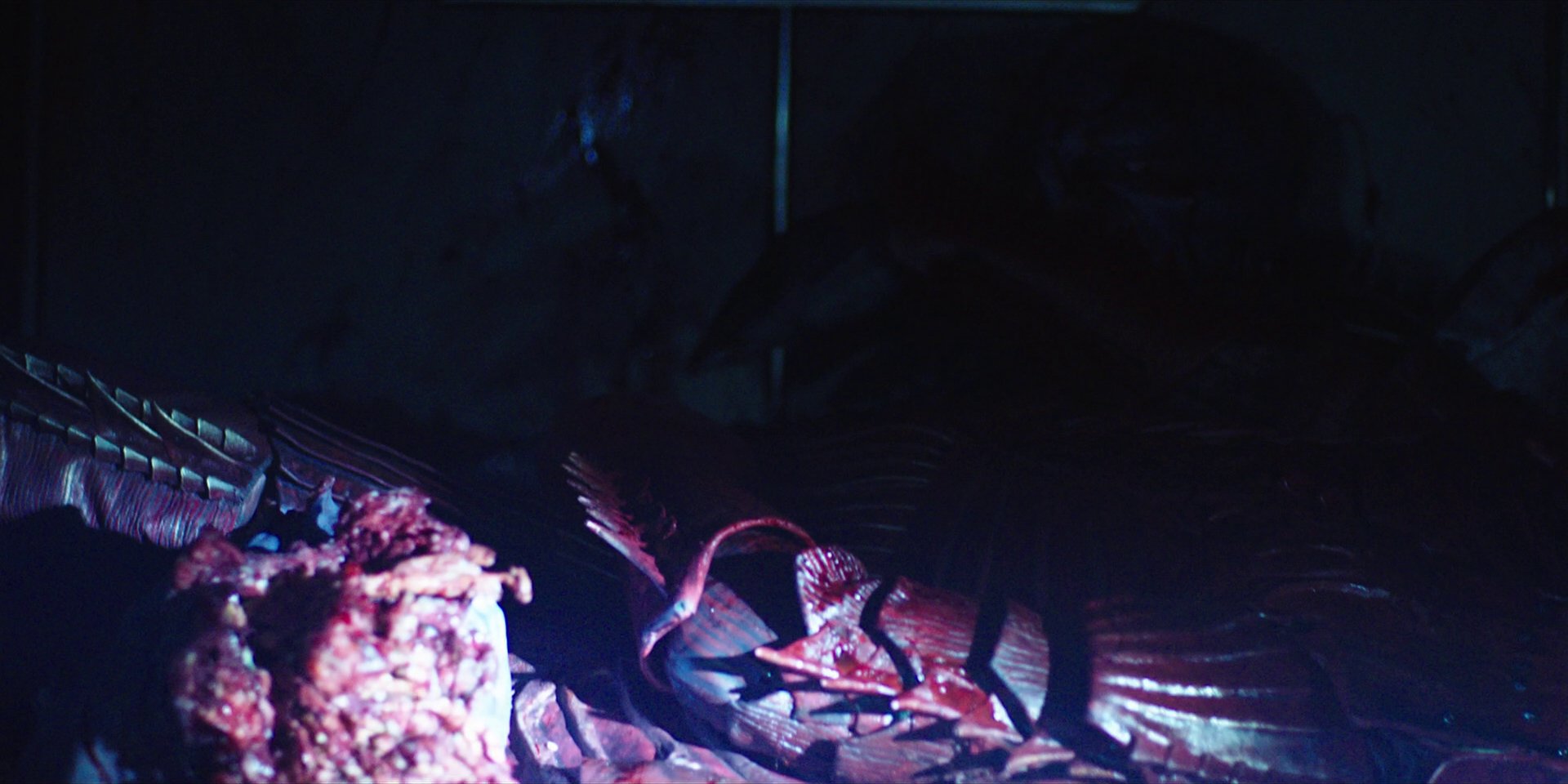 extant_StarTrekDiscovery_1x03-ContextIsForKings_3478.jpg
