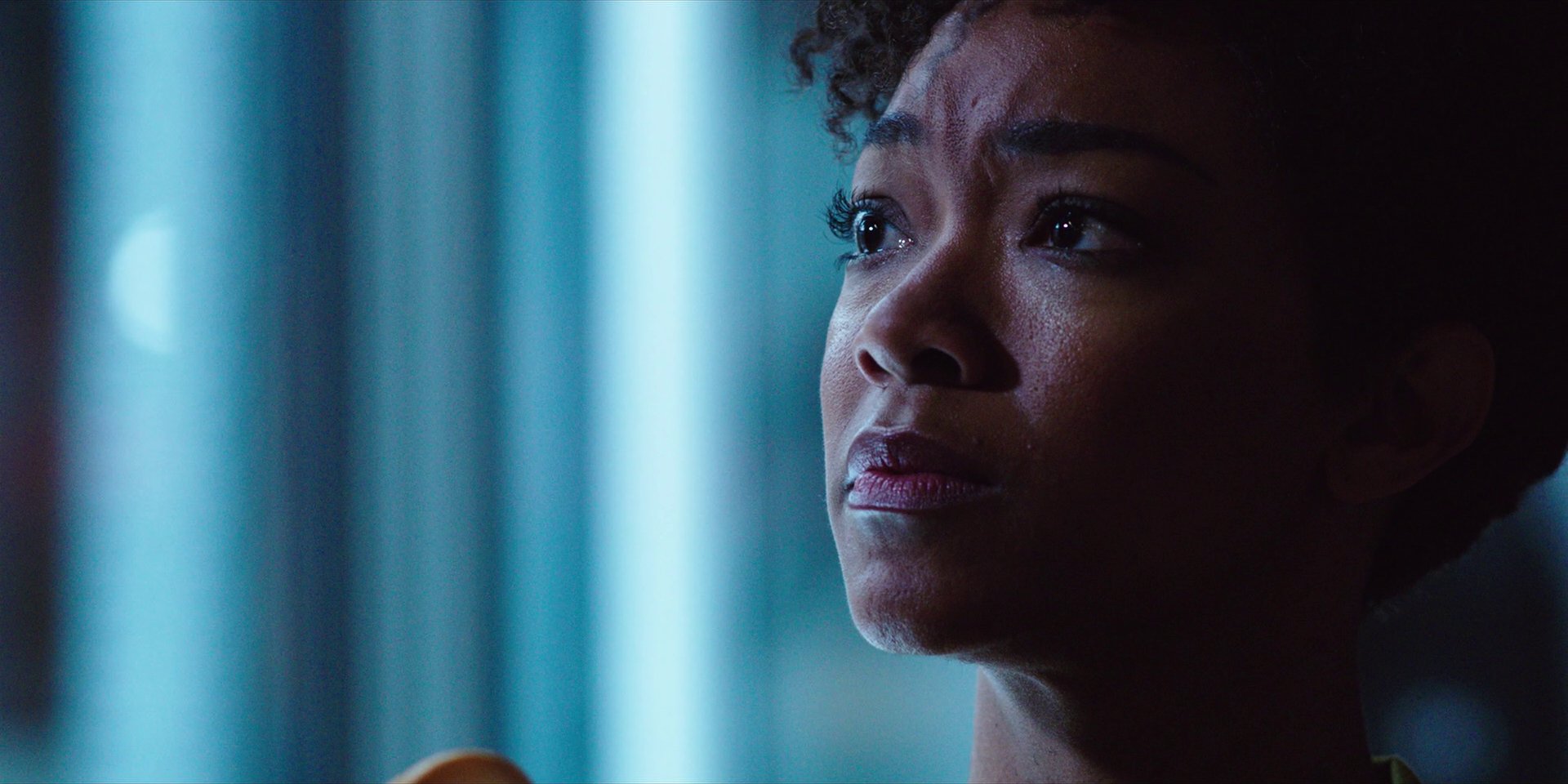 extant_StarTrekDiscovery_1x03-ContextIsForKings_4751.jpg