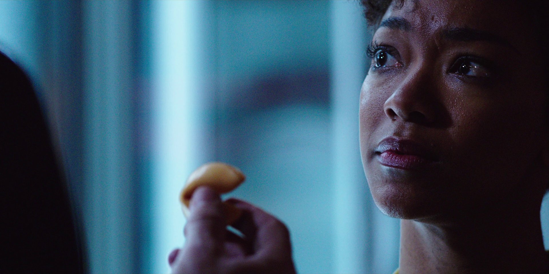 extant_StarTrekDiscovery_1x03-ContextIsForKings_4762.jpg