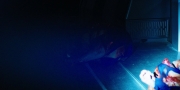 Filename=extant_StarTrekDiscovery_1x03-ContextIsForKings_3332.jpg
Filesize=161KiB
Dimensions=1920x960
Date added=Dec 31, 2018 extant_StarTrekDiscovery_1x03-ContextIsForKings_3332.jpg