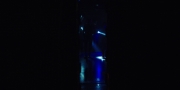 Filename=extant_StarTrekDiscovery_1x03-ContextIsForKings_3432.jpg
Filesize=43KiB
Dimensions=1920x960
Date added=Dec 31, 2018 extant_StarTrekDiscovery_1x03-ContextIsForKings_3432.jpg