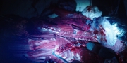 extant_StarTrekDiscovery_1x03-ContextIsForKings_3448.jpg