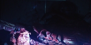 Filename=extant_StarTrekDiscovery_1x03-ContextIsForKings_3478.jpg
Filesize=166KiB
Dimensions=1920x960
Date added=Dec 31, 2018 extant_StarTrekDiscovery_1x03-ContextIsForKings_3478.jpg