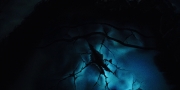 Filename=extant_StarTrekDiscovery_1x03-ContextIsForKings_3766.jpg
Filesize=148KiB
Dimensions=1920x960
Date added=Dec 31, 2018 extant_StarTrekDiscovery_1x03-ContextIsForKings_3766.jpg