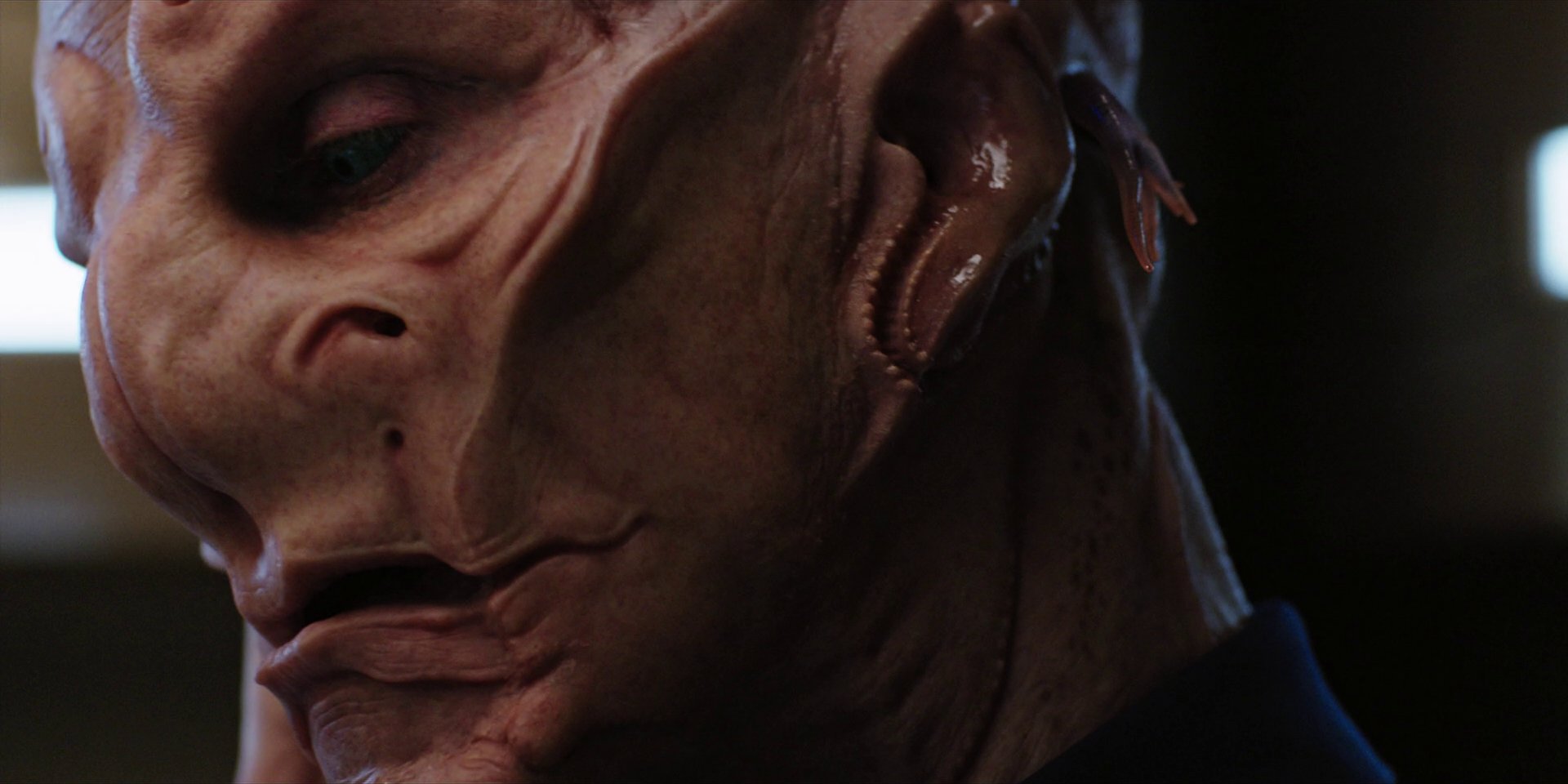 extant_StarTrekDiscovery_1x04-TheButchersKnifeCaresNotForTheLambsCry_0455.jpg