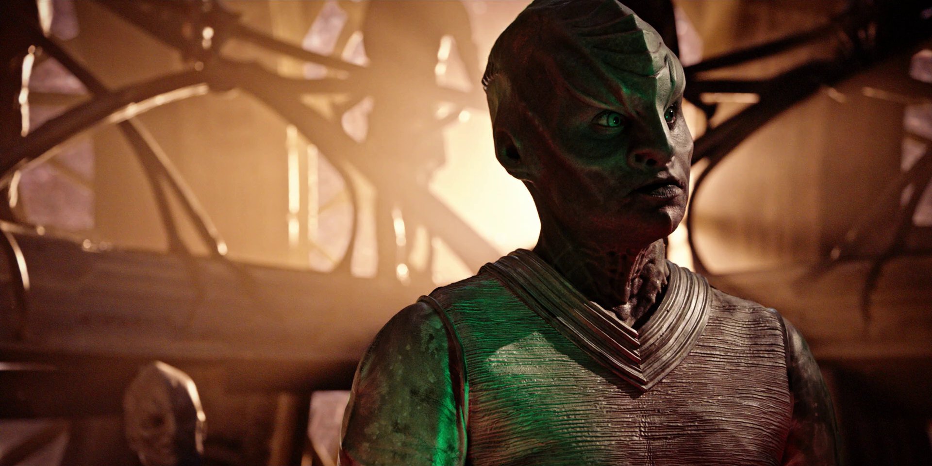 extant_StarTrekDiscovery_1x04-TheButchersKnifeCaresNotForTheLambsCry_2073.jpg