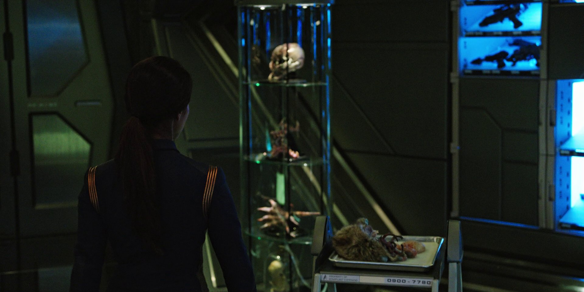 extant_StarTrekDiscovery_1x04-TheButchersKnifeCaresNotForTheLambsCry_2738.jpg