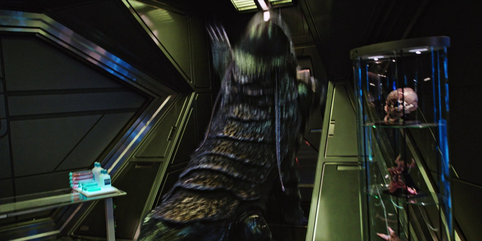extant_StarTrekDiscovery_1x04-TheButchersKnifeCaresNotForTheLambsCry_2809.jpg