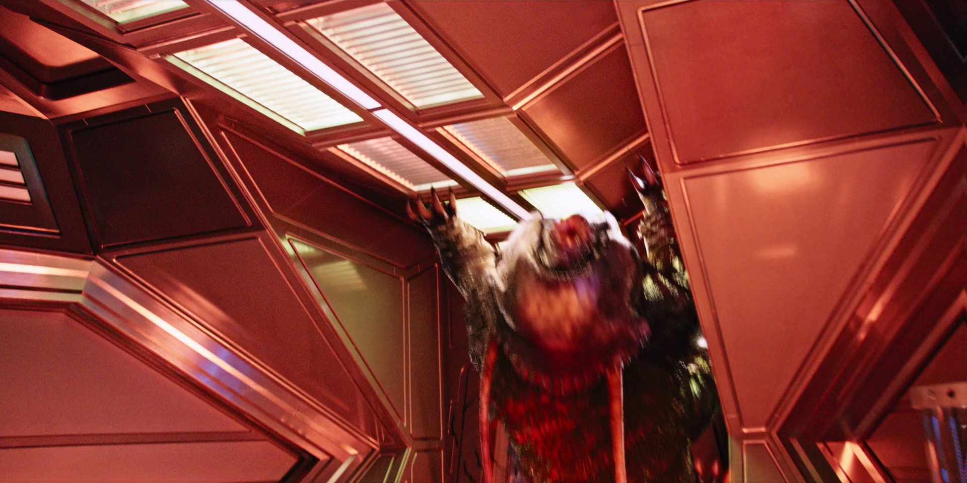 extant_StarTrekDiscovery_1x04-TheButchersKnifeCaresNotForTheLambsCry_2810.jpg