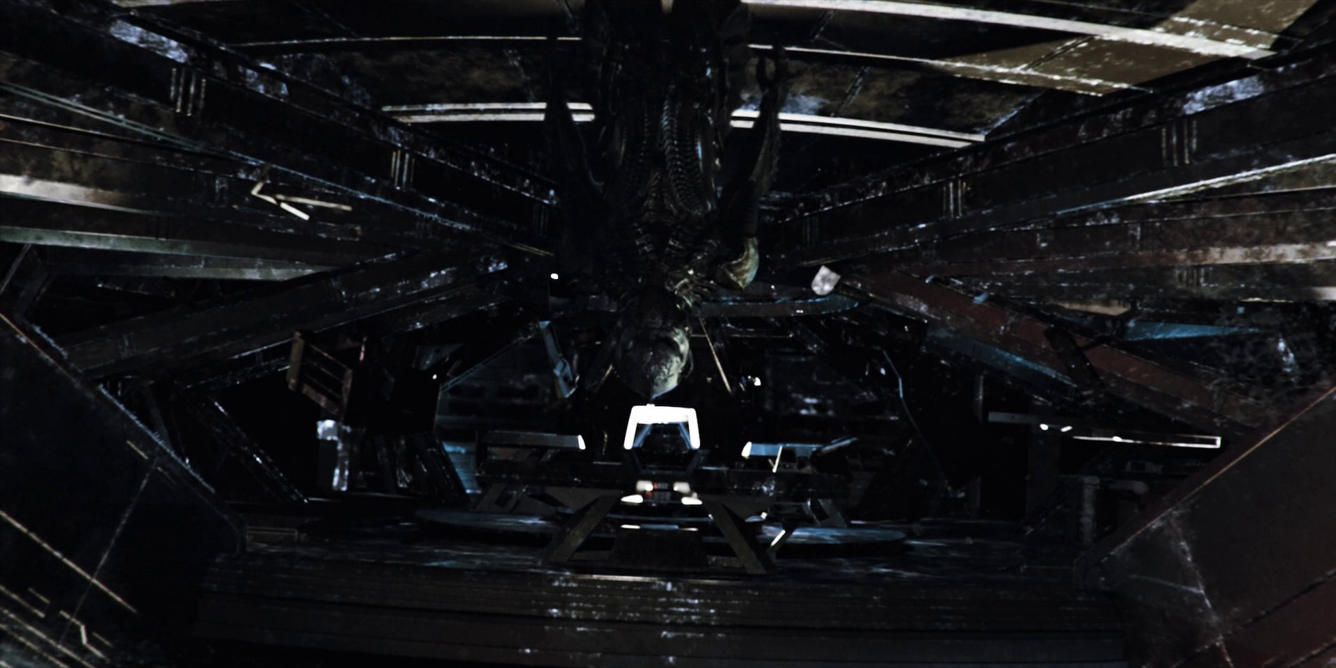 extant_StarTrekDiscovery_1x04-TheButchersKnifeCaresNotForTheLambsCry_2927.jpg