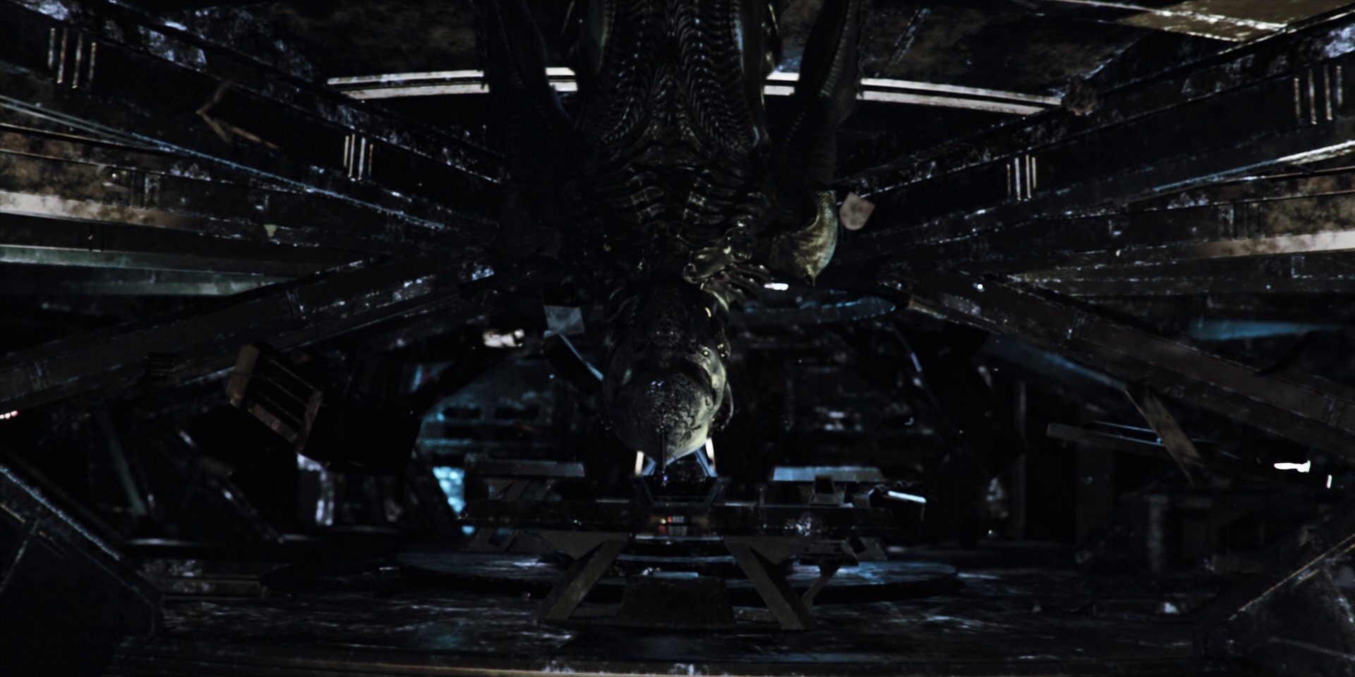 extant_StarTrekDiscovery_1x04-TheButchersKnifeCaresNotForTheLambsCry_2929.jpg