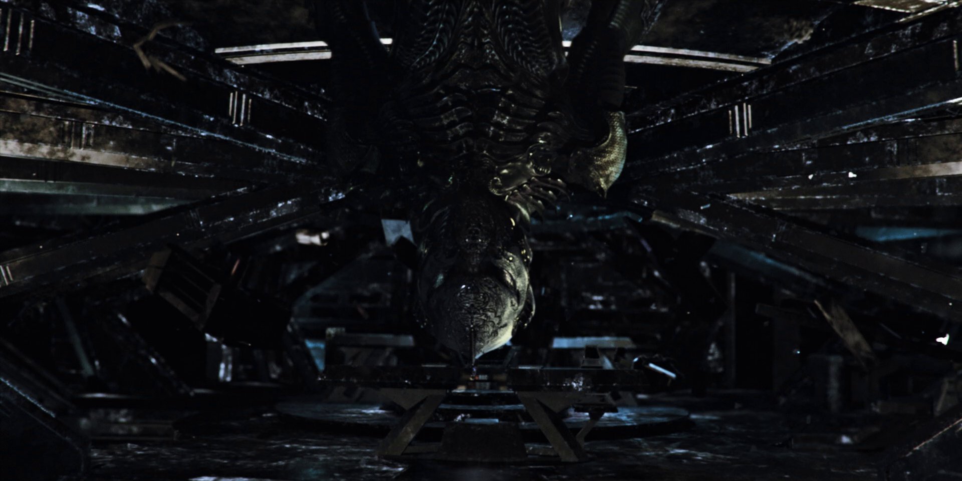 extant_StarTrekDiscovery_1x04-TheButchersKnifeCaresNotForTheLambsCry_2930.jpg