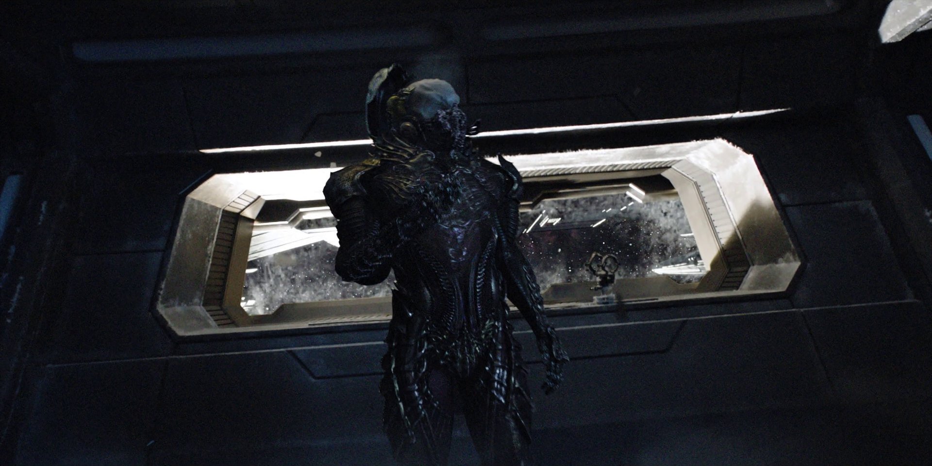 extant_StarTrekDiscovery_1x04-TheButchersKnifeCaresNotForTheLambsCry_3001.jpg