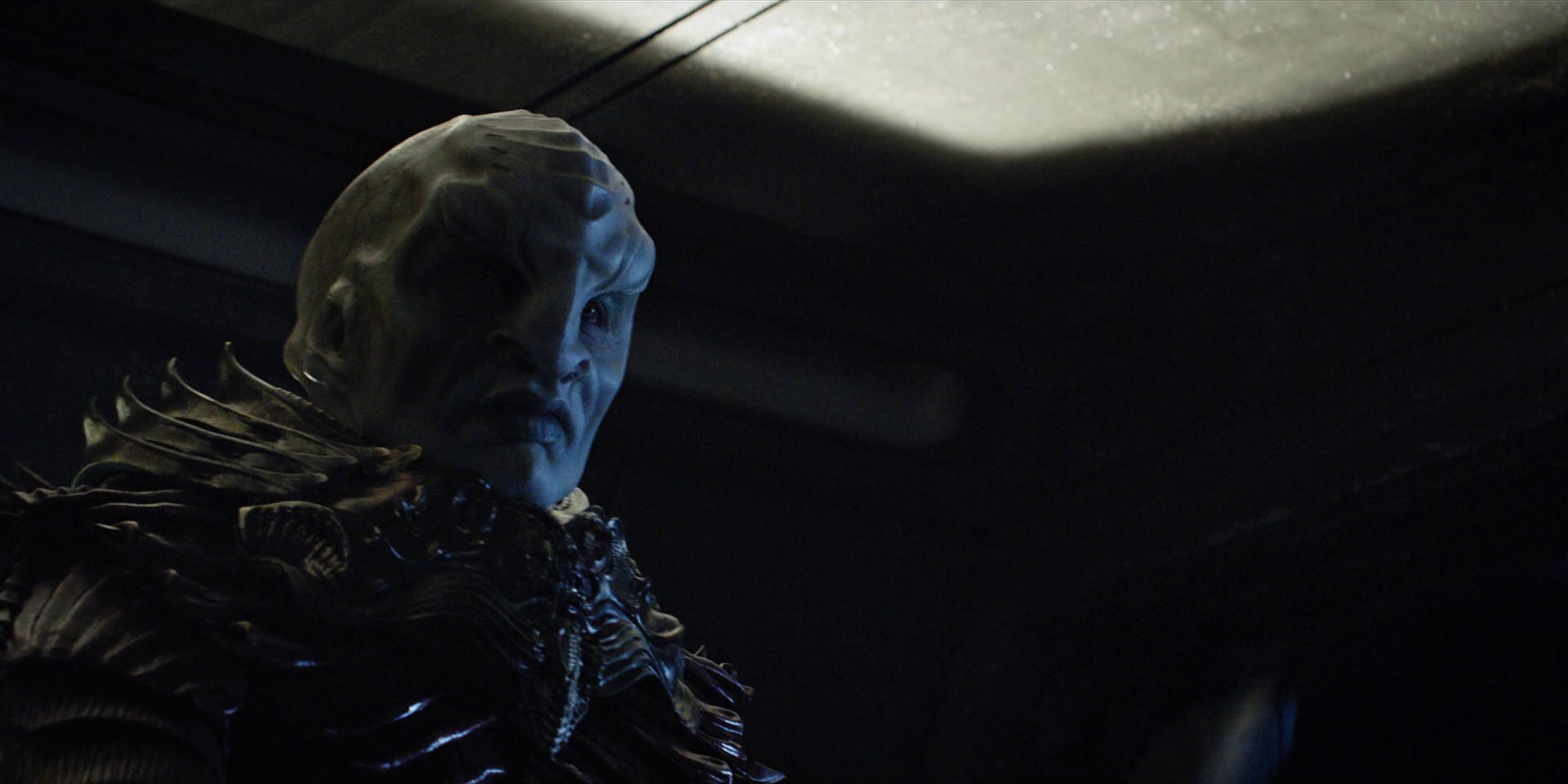 extant_StarTrekDiscovery_1x04-TheButchersKnifeCaresNotForTheLambsCry_3041.jpg