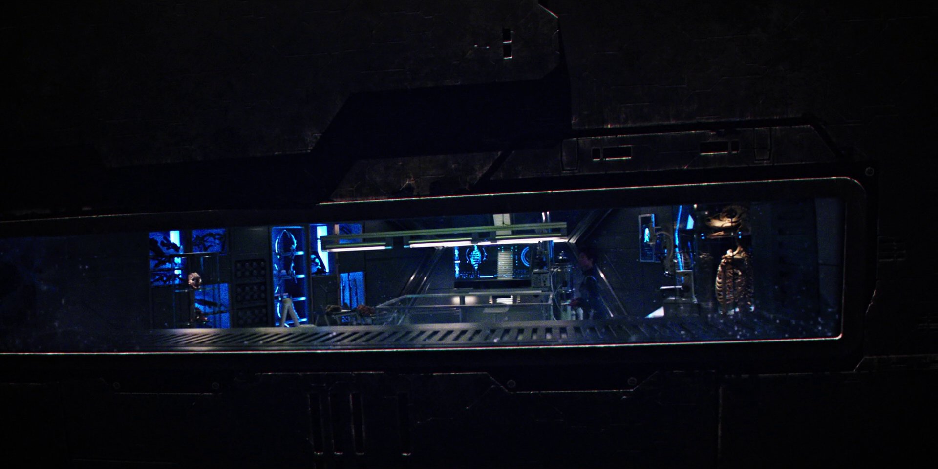 extant_StarTrekDiscovery_1x04-TheButchersKnifeCaresNotForTheLambsCry_3287.jpg