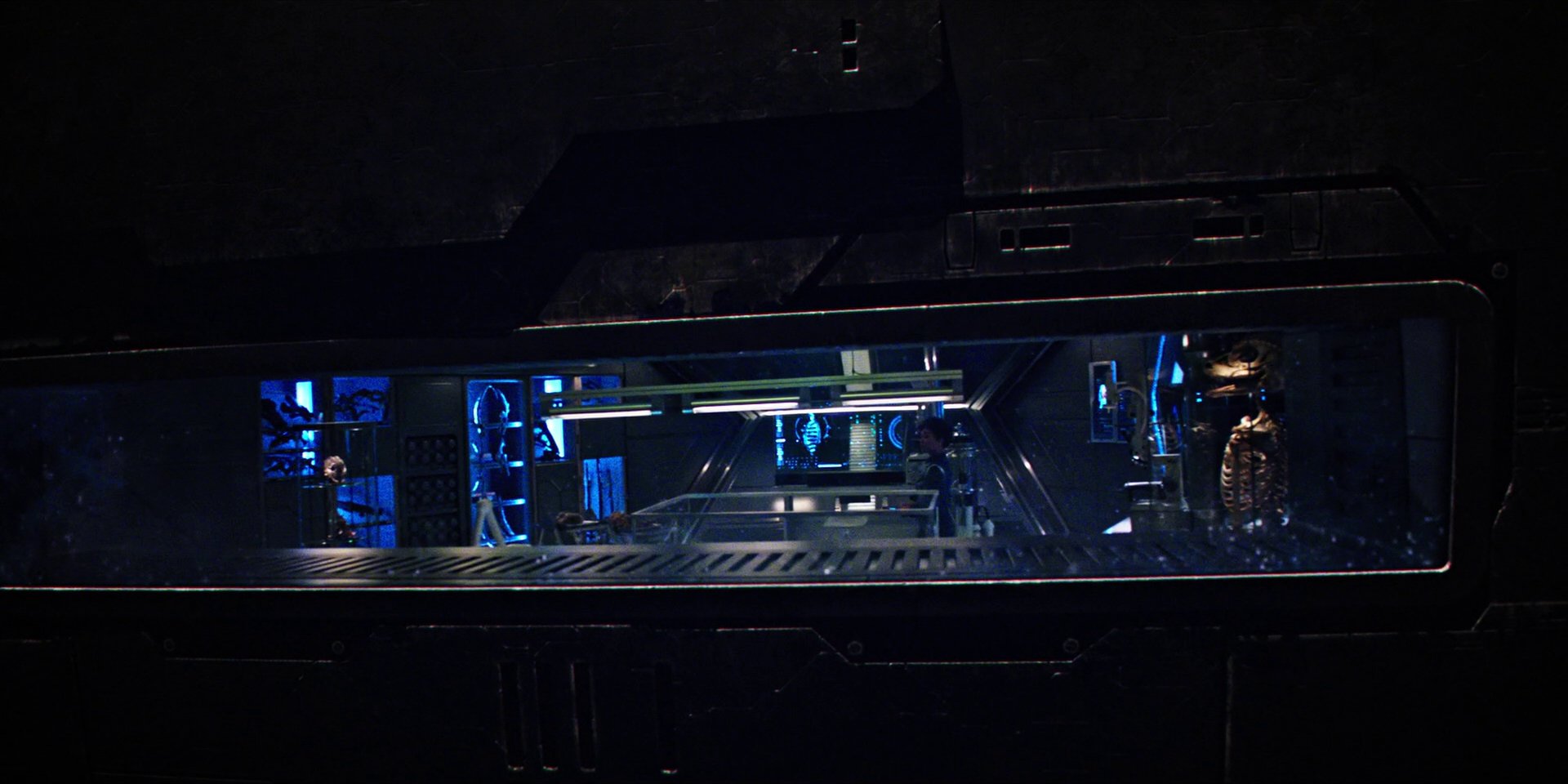 extant_StarTrekDiscovery_1x04-TheButchersKnifeCaresNotForTheLambsCry_3288.jpg