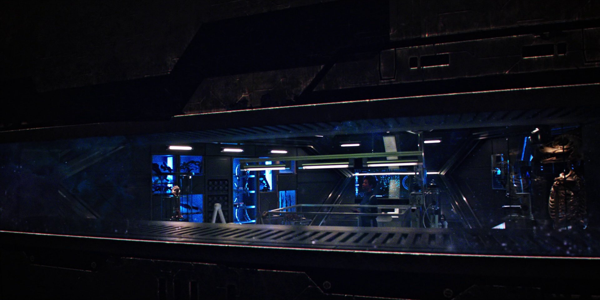 extant_StarTrekDiscovery_1x04-TheButchersKnifeCaresNotForTheLambsCry_3294.jpg